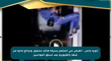 تنويه عاجل.. القبض على المتهم بسرقة هاتف محمول ومبالغ مالية من شقة بالقليوبية بعد تسلق المواسير